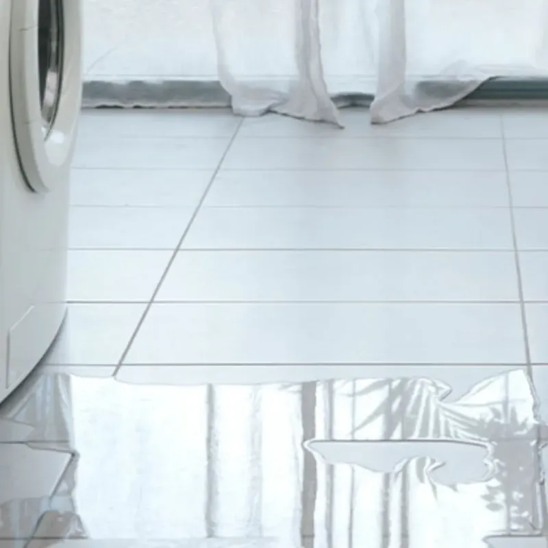 Appliance Leak Cleanup in Essex, MA